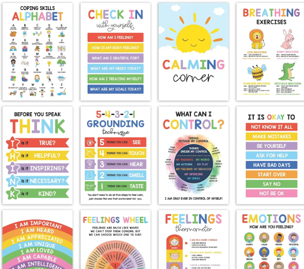 SEL Emotional Intelligence Posters