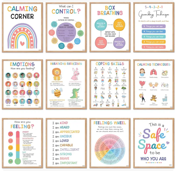 SEL Emotional Intelligence Posters
